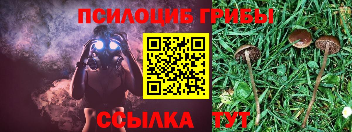 наркотики  Вход с VPN  Канаш  Псилоцибиновые грибы прущие грибы 